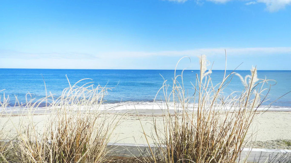 Nantucket: Summer Escape